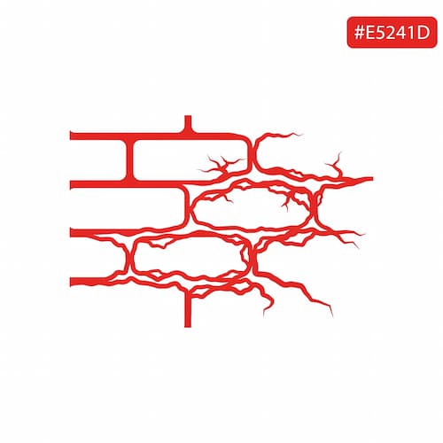 Kaputte Fugen in einer Ziegelbauwand